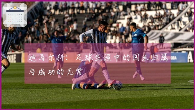 迪马尔科：足球生涯中的国米归属与成功的无常