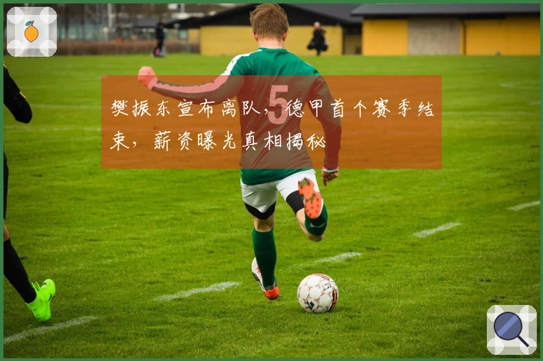 樊振东宣布离队，德甲首个赛季结束，薪资曝光真相揭秘
