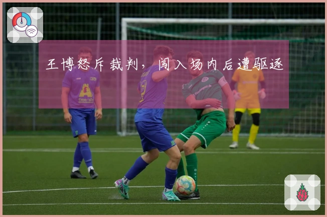 王博怒斥裁判，闯入场内后遭驱逐