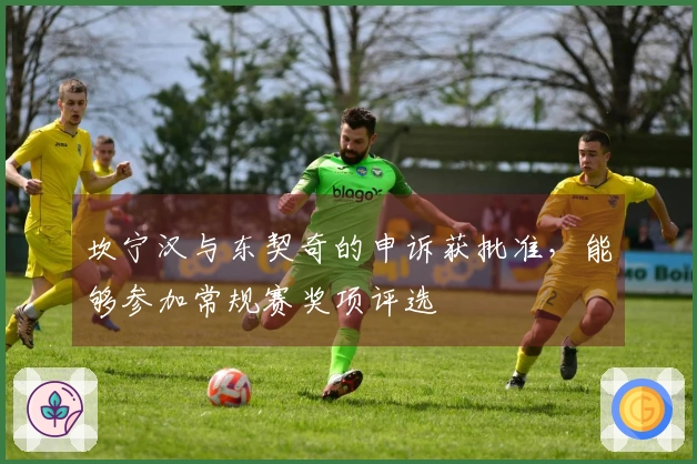 坎宁汉与东契奇的申诉获批准，能够参加常规赛奖项评选